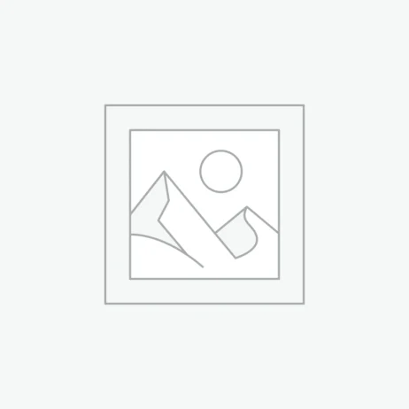 عنصر نائب Placeholder